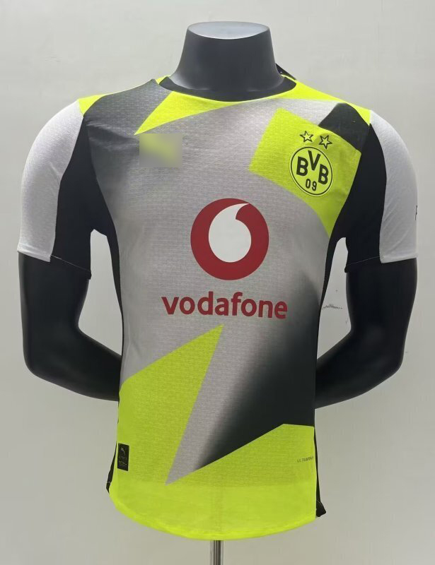 AAA Quality Dortmund 25/26 Away Grey/Yellow Jersey(Player)